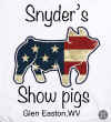 snyders_show_pigs.jpg (136309 bytes)